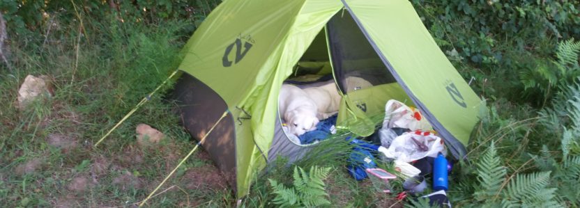 Aug4  Topsy teaches Tenting