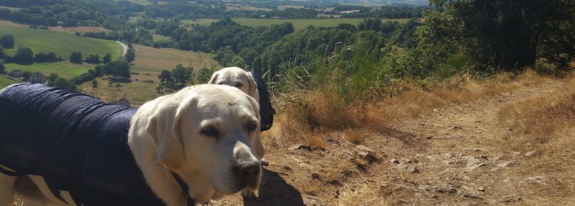 Aug 5 Day21  Sarthe  Valley: Scenery worth see  ing