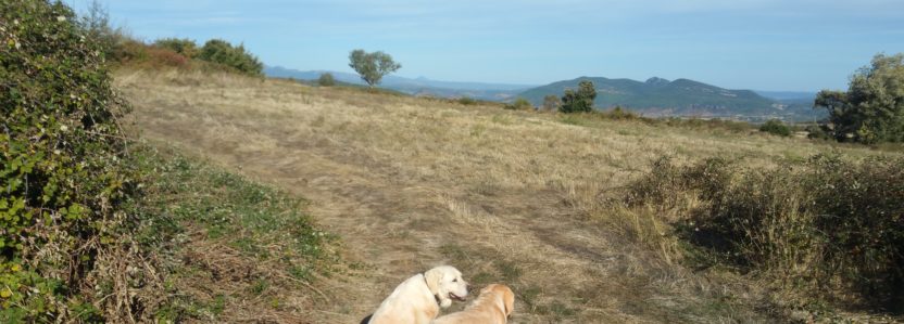 Oct 2  Lac Salagou sighted!